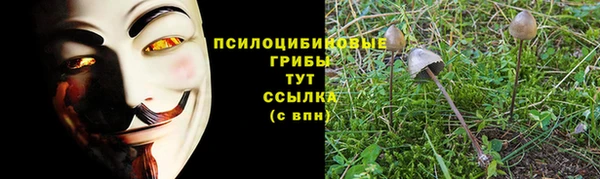 гашик Строитель